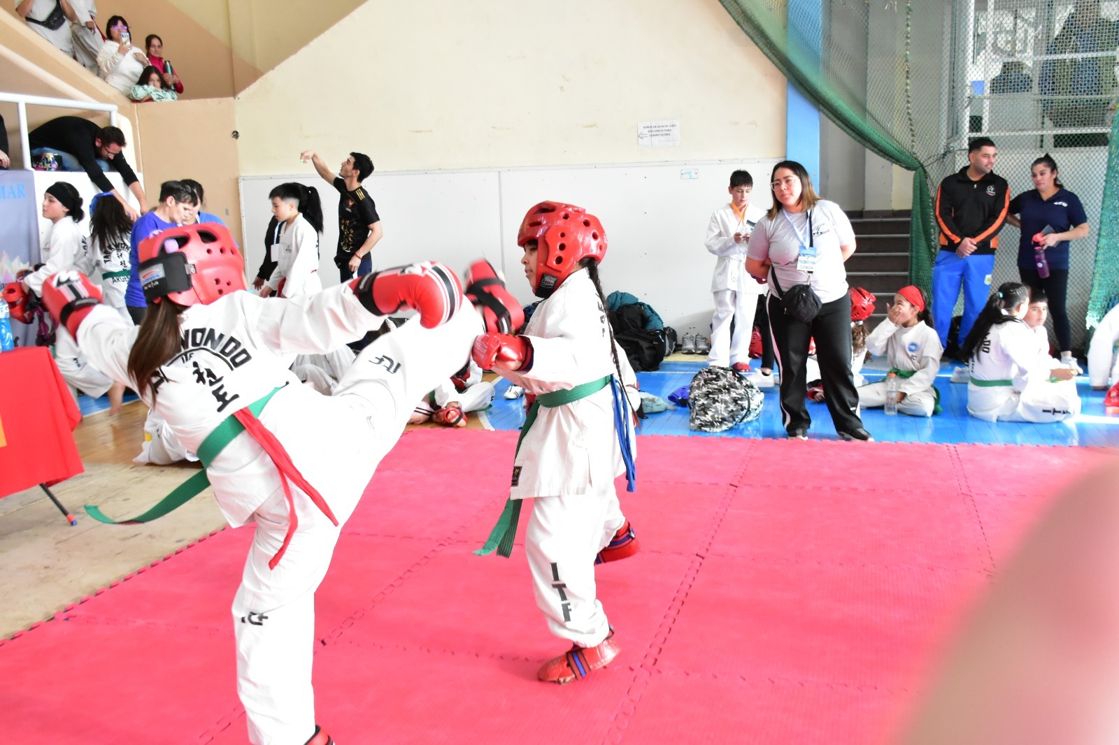 Con más de 300 competidores se desarrolló la V edición de la Copa de Taekwondo ITF “Día de la Bandera”