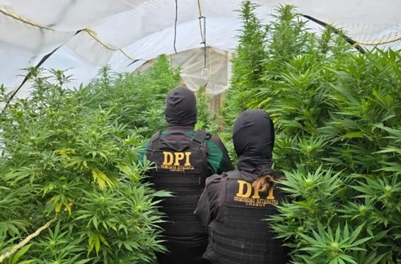 Allanamiento en Km 17 terminó con secuestro de armas y drogas