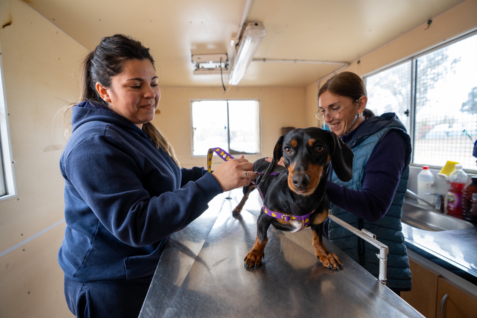 El Municipio fortalece la campaña de vacunación antirrábica