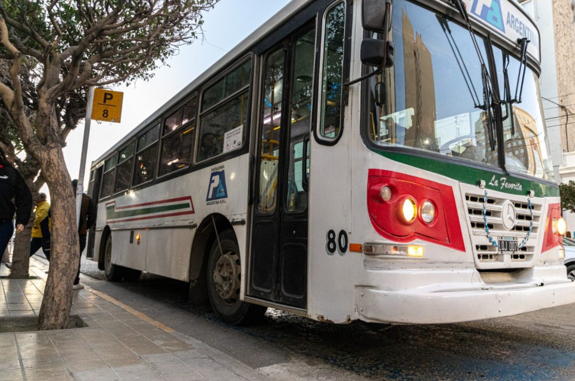 Transporte público en Comodoro: el municipio avanza en la nueva concesión