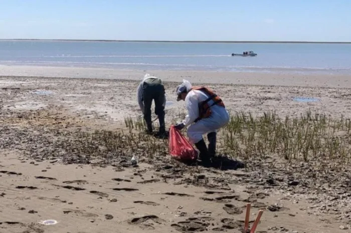 Volcaron petroleo en una reserva natural: &quot;El daño no se repara&quot; denunciaron ambientalistas